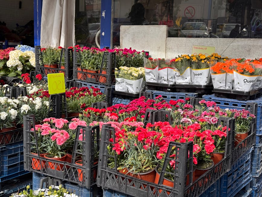 Outdoor display of colorful potted flowers arranged in black plastic crates outside a flower shop. The flowers include pink, red, white, yellow, and orange blossoms, with some wrapped in white paper.