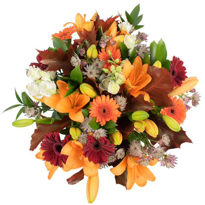 A lush, hand-arranged autumn bouquet captured from a slightly elevated perspective, its colour story rooted in warm oranges, deep burgundies, creamy whites, and earthy browns. Prominent, fully opened orange Asiatic lilies spread their trumpet-shaped petals wide, their satin sheen catching the light, while many smaller lily buds in fresh green and soft apricot hint at blooms to come. Bright orange gerberas and rich burgundy gerberas punctuate the arrangement with bold, circular forms and dark centres, giving the eye places to rest amid the detailed textures. Creamy lisianthus blooms with ruffled layers introduce softness, and clusters of muted purple Astrantia offer a starry, filigree texture that threads delicate interest through the denser flowers. Interspersed are large, lobed leaves in warm reddish-brown - reminiscent of oak or maple fallen on Cable Street in late October - which reinforce the seasonal narrative and add sculptural weight. Sprays of green foliage and slim stems provide lift and fresh contrast throughout. The bouquet is tightly composed and photographed against a clean white backdrop, so every petal edge, vein, and stamen is clearly visible under bright, even light. As a florist serving Shadwell and nearby Wapping and Canary Wharf, Flowers Shadwell often recommends this design as a Thanksgiving centrepiece or a heartfelt seasonal gift: it reads as both abundant and refined, offering a soft woodsy fragrance, a comforting visual warmth, and an artisanal flair suited to cosy homes, canal-side restaurants, or a thoughtful celebration in the neighbourhood.