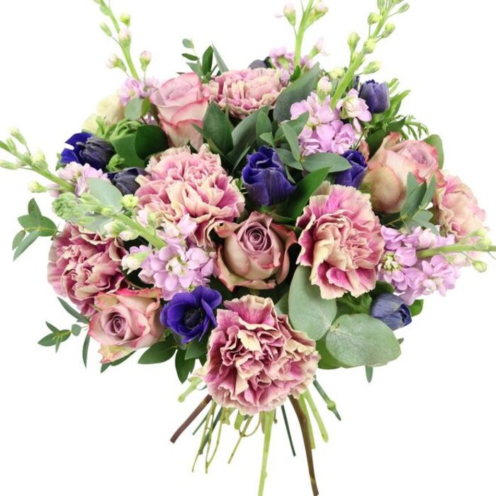 Against a spotless white background, this hand-tied bouquet appears both luxurious and inviting, the sort of carefully crafted design you might receive from a local Shadwell florist for a cherished occasion. At the heart of the arrangement, several large garden roses in shades of blush pink, dusty rose, and soft mauve open in perfectly formed spirals, offering a sense of romance and tenderness. Around them, the bouquet is generously packed with frilled carnations, their layered petals shifting from creamy, almost ivory centers to deeper blush, rose, and fuchsia at the edges, giving the whole piece a soft, cloud-like fullness and delicate texture. Threaded throughout the rosy tones are arresting flashes of deep blue and indigo: closed buds reminiscent of tulips or anemones stand upright among the petals, and a prominent open royal blue anemone with a dark central eye sits near the lower front, providing striking contrast that anchors the design. Rising gently through the blooms are stems of lilac and pale lavender stock, with many tiny blossoms along each stem contributing height, airiness, and a suggestion of a light, sweet fragrance. Enveloping the flowers is a generous mix of greenery, including round, silvery eucalyptus leaves and darker, glossy foliage that frames the bouquet and introduces a cool, refreshing feel. At the base, the stems are neatly gathered and visible, revealing the hand-crafted nature of the piece and suggesting it has just been finished in a Shadwell workshop close to the docks. The bouquet carries a mood of refined comfort and understated luxury, ideal for marking anniversaries, congratulating a new chapter near Shadwell Basin, or offering a gentle gesture of support to someone along The Highway.