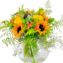 Radiating exuberance and subtle sophistication, this bouquet instantly conjures the golden afternoons of Shadwell's riverside. Joyful yellow sunflowers and luminous garden roses are woven together, their petals fanning outward in generous spirals that seem to echo the wide-open skies above Stepney Green. Deep green leaves, fine filaments of goldenrod, and the soft movement of feathery ferns add complexity and rhythm to the arrangement, while sprigs of blue-green eucalyptus offer gentle contrast and a whisper of fresh scent. Scarlet Hypericum berries are sprinkled through, their glossy surfaces gleaming playfully against the soft matte of the surrounding blooms. Every stem and leaf is visible inside the fishbowl-like glass vase, arranged with the same care you'd find at a Shadwell flower stall on Cable Street. The bouquet's overall impression is one of lightness and vitality-a fitting gift for birthdays, jubilant milestones, or simply to lift a friend's spirits. Its fragrance is delicate, evoking freshly mown greenery and the cooling breeze from the nearby Thames. Created by Flowers Shadwell, this arrangement embodies the vibrant, community spirit and modern artistry found throughout the neighbourhood.